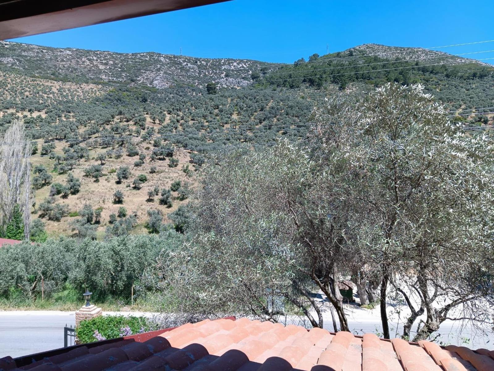 Sirince Klaseas Hotel&Restaurant Selçuk Buitenkant foto