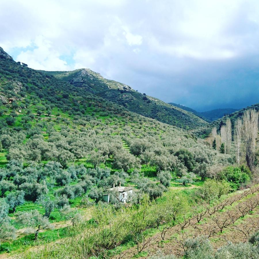 Sirince Klaseas Hotel&Restaurant Selçuk Buitenkant foto